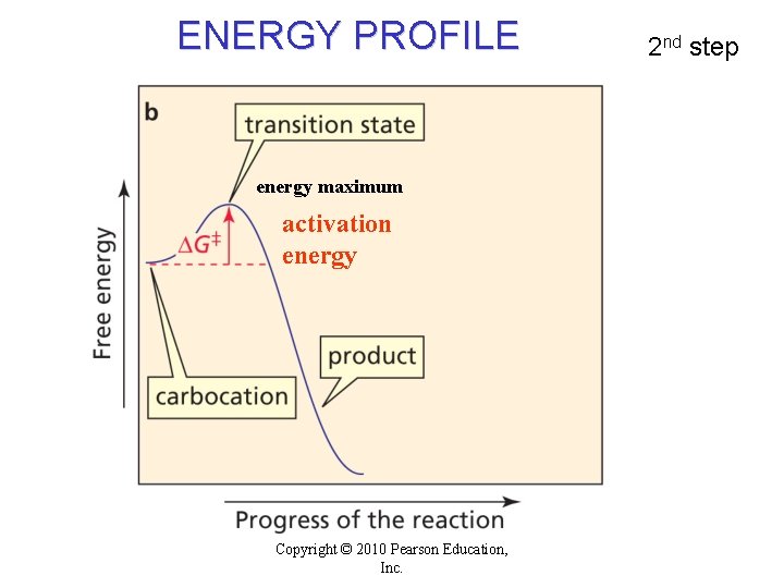 ENERGY PROFILE energy maximum activation energy Copyright © 2010 Pearson Education, Inc. 2 nd ENERGY PROFILE energy maximum activation energy Copyright © 2010 Pearson Education, Inc. 2 nd