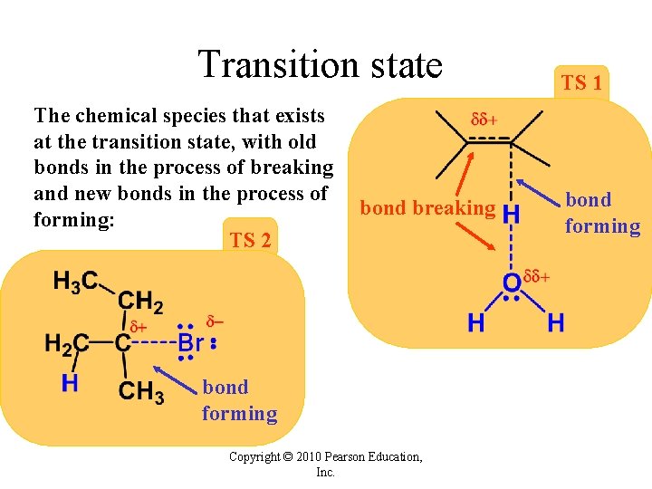 Transition state The chemical species that exists at the transition state, with old bonds Transition state The chemical species that exists at the transition state, with old bonds