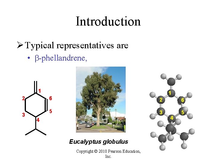 Introduction Ø Typical representatives are • -phellandrene, 1 2 3 1 6 2 6 Introduction Ø Typical representatives are • -phellandrene, 1 2 3 1 6 2 6