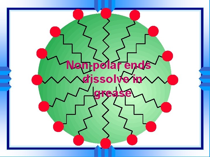 Non-polar ends dissolve in grease 