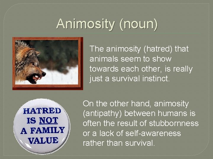 Animosity (noun) The animosity (hatred) that animals seem to show towards each other, is