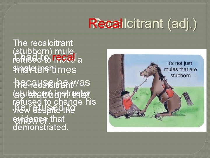 Recalcitrant (adj. ) Recal The recalcitrant (stubborn) mule I had toto recall refused move