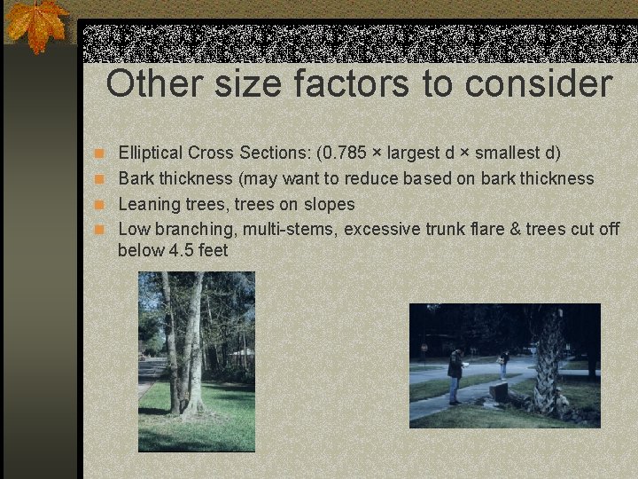 Other size factors to consider n Elliptical Cross Sections: (0. 785 × largest d
