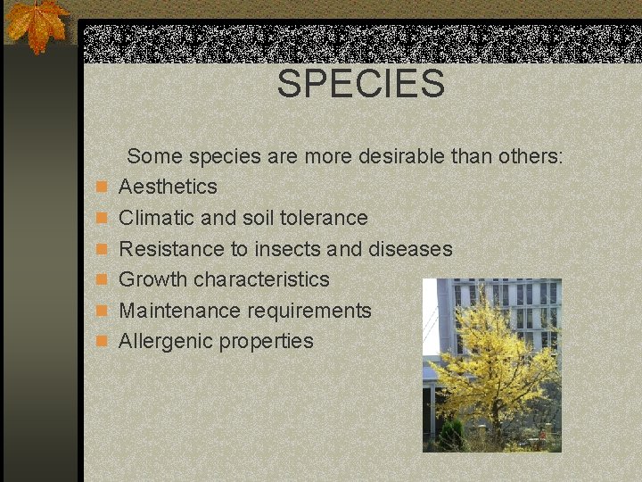 SPECIES n n n Some species are more desirable than others: Aesthetics Climatic and