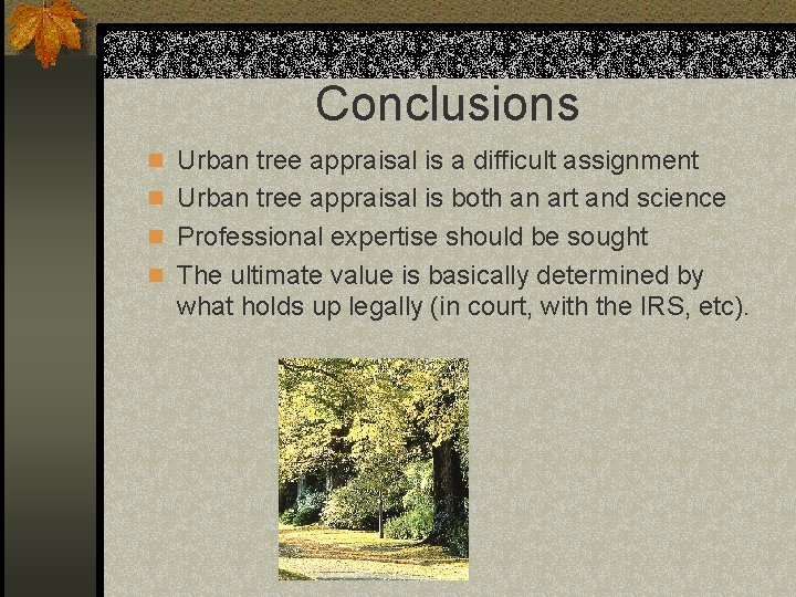 Conclusions n Urban tree appraisal is a difficult assignment n Urban tree appraisal is