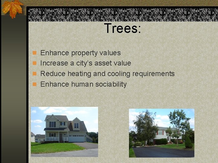 Trees: n Enhance property values n Increase a city’s asset value n Reduce heating