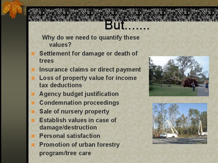 But. . . . n n n n n Why do we need to