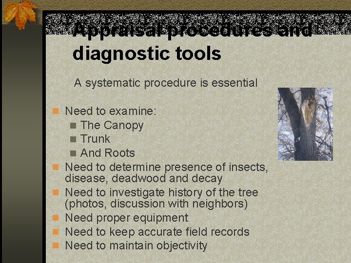 Appraisal procedures and diagnostic tools A systematic procedure is essential n Need to examine: