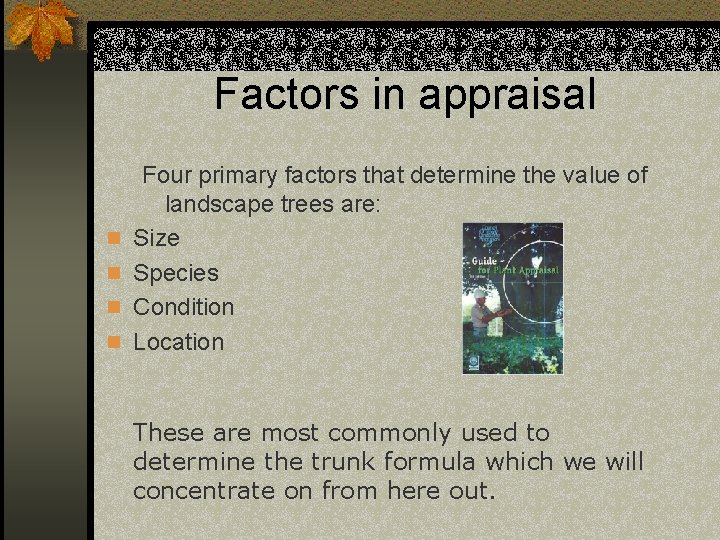 Factors in appraisal n n Four primary factors that determine the value of landscape