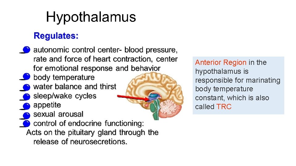 Anterior Region in the hypothalamus is responsible for marinating body temperature constant, which is Anterior Region in the hypothalamus is responsible for marinating body temperature constant, which is