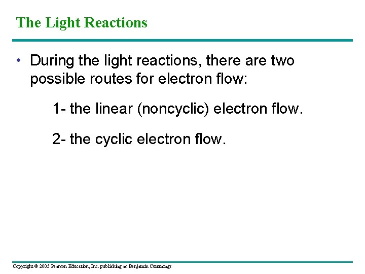 The Light Reactions • During the light reactions, there are two possible routes for