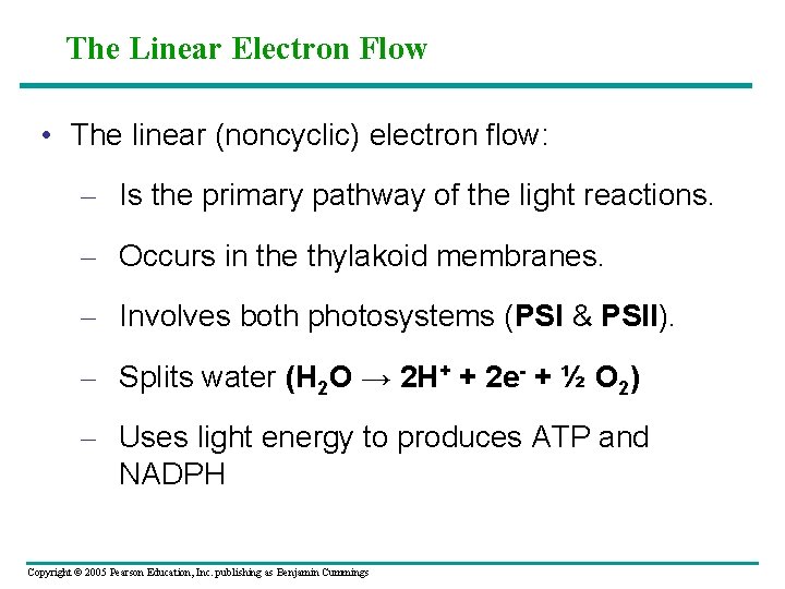 The Linear Electron Flow • The linear (noncyclic) electron flow: – Is the primary