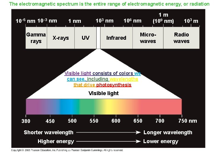 The electromagnetic spectrum is the entire range of electromagnetic energy, or radiation 10– 5