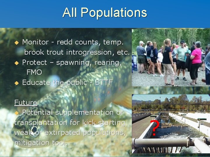 All Populations Monitor - redd counts, temp. brook trout introgression, etc. Protect – spawning,