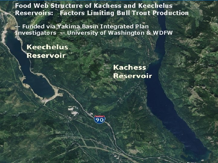 Food Web Structure of Kachess and Keechelus Reservoirs: Factors Limiting Bull Trout Production --