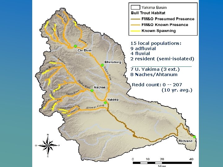 15 local populations: 9 adfluvial 4 fluvial 2 resident (semi-isolated) 7 U. Yakima (3