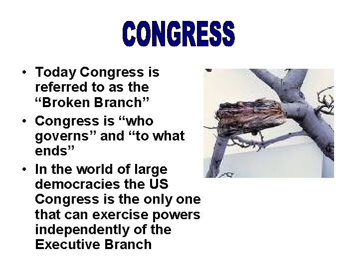  • Today Congress is referred to as the “Broken Branch” • Congress is