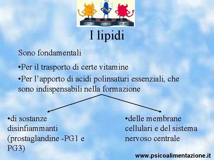 I lipidi Sono fondamentali • Per il trasporto di certe vitamine • Per l’apporto