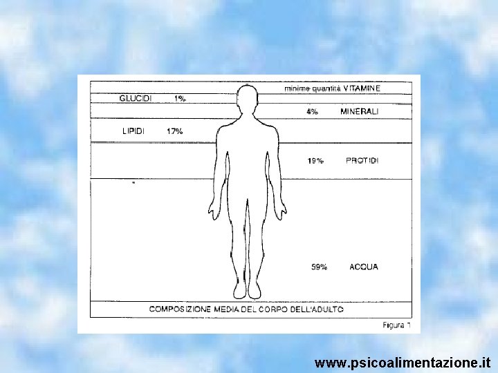 www. psicoalimentazione. it 