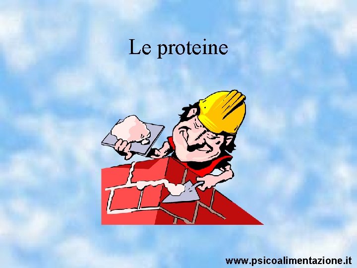 Le proteine www. psicoalimentazione. it 