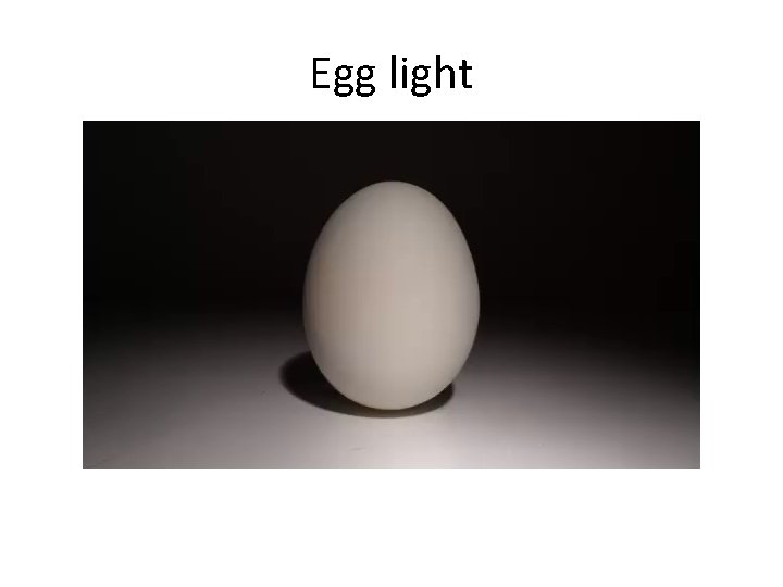 Egg light 