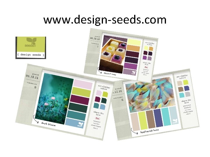 www. design-seeds. com 