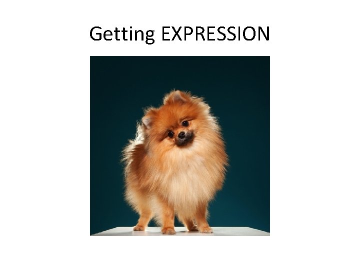 Getting EXPRESSION 