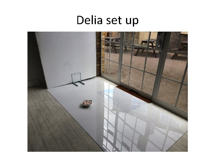 Delia set up 