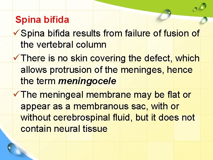 Spina bifida ü Spina bifida results from failure of fusion of the vertebral column