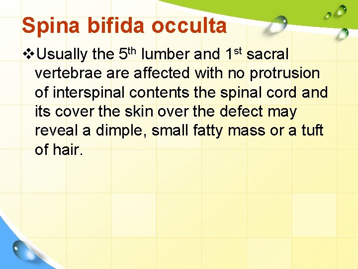 Spina bifida occulta v. Usually the 5 th lumber and 1 st sacral vertebrae