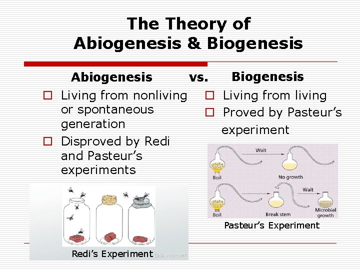 The Theory of Abiogenesis & Biogenesis Abiogenesis o Living from nonliving or spontaneous generation