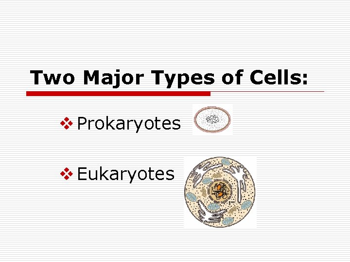 Two Major Types of Cells: v Prokaryotes v Eukaryotes 