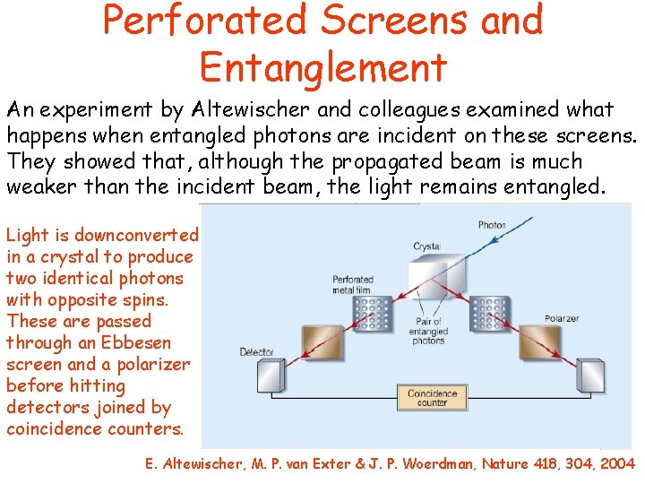 Perforated Screens and Entanglement An experiment by Altewischer and colleagues examined what happens when