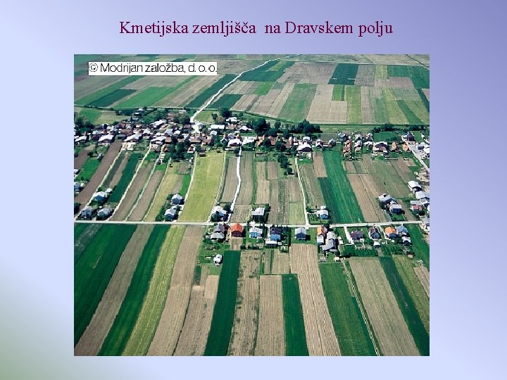 Kmetijska zemljišča na Dravskem polju 