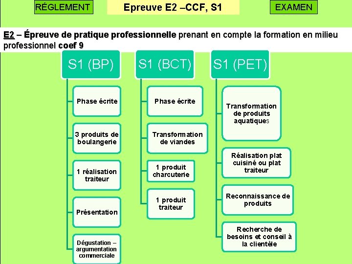 RÉGLEMENT Epreuve E 2 –CCF, S 1 EXAMEN E 2 – Épreuve de pratique