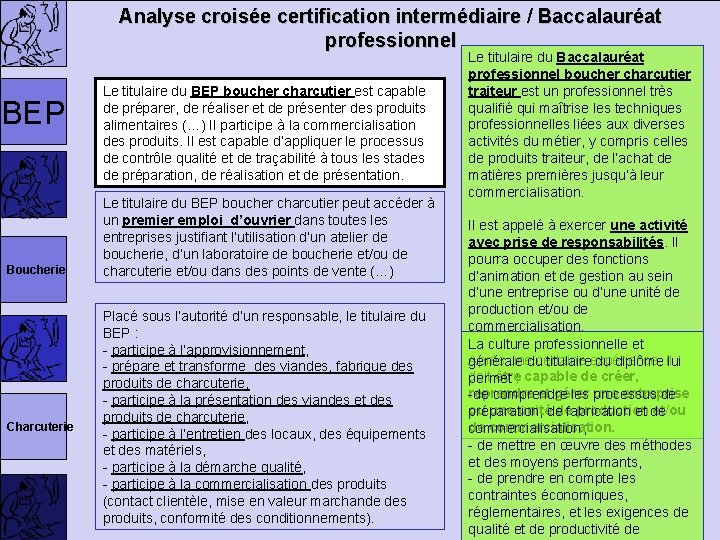 Analyse croisée certification intermédiaire / Baccalauréat professionnel BEP Boucherie Charcuterie Le titulaire du BEP