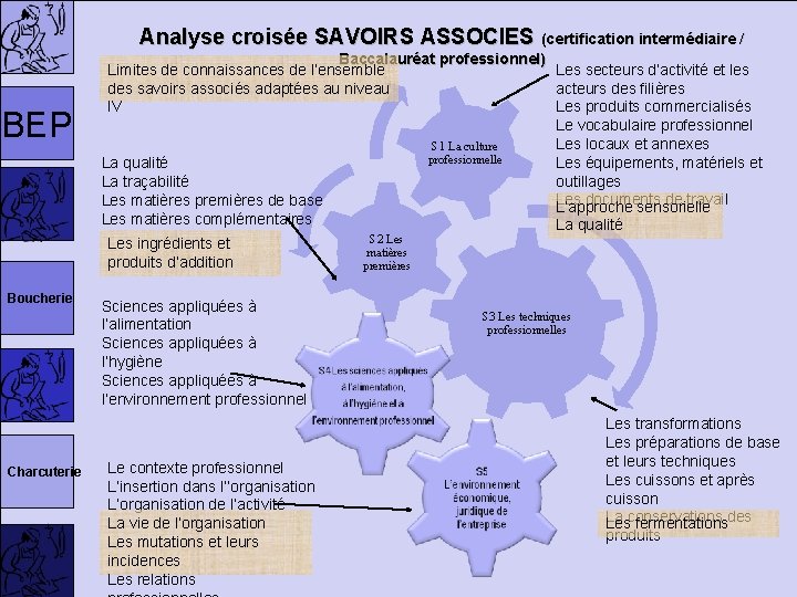 Analyse croisée SAVOIRS ASSOCIES (certification intermédiaire / BEP Baccalauréat professionnel) Limites de connaissances de