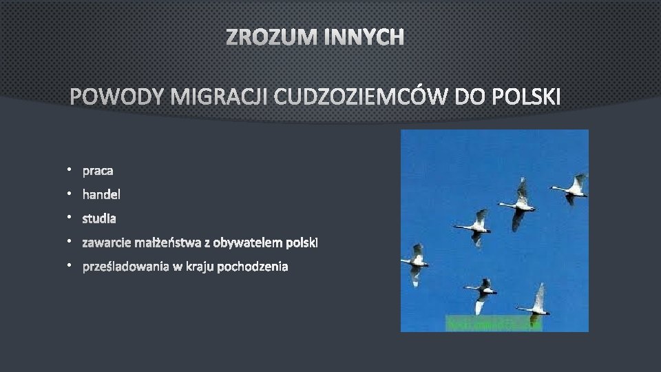 ZROZUM INNYCH POWODY MIGRACJI CUDZOZIEMCÓW DO POLSKI • PRACA • HANDEL • STUDIA •