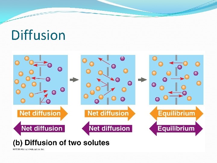 Diffusion 