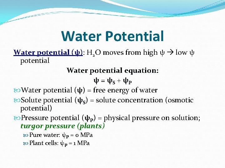 Water Potential Water potential (ψ): H 2 O moves from high ψ low ψ