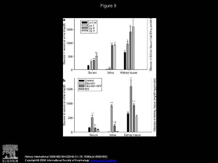 Figure 9 Kidney International 2006 692194 -2204 DOI: (10. 1038/sj. ki. 5000433) Copyright ©
