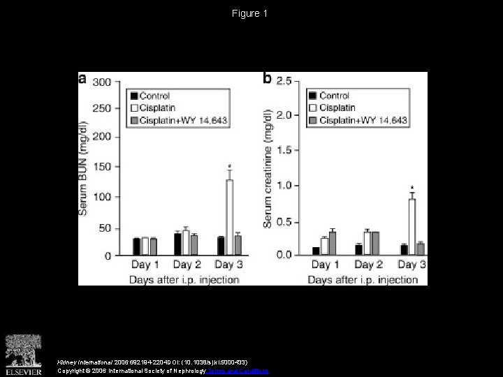 Figure 1 Kidney International 2006 692194 -2204 DOI: (10. 1038/sj. ki. 5000433) Copyright ©