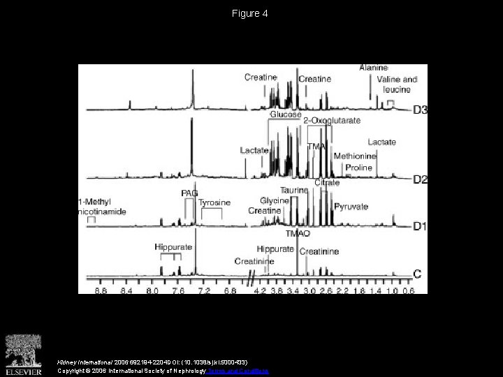 Figure 4 Kidney International 2006 692194 -2204 DOI: (10. 1038/sj. ki. 5000433) Copyright ©