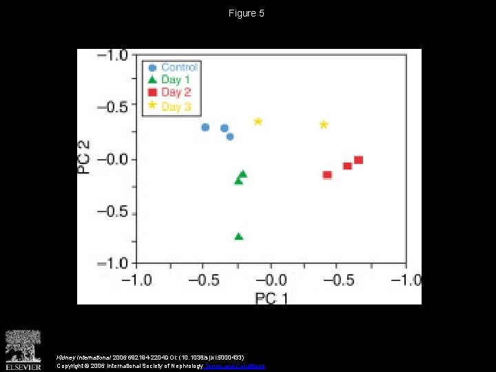 Figure 5 Kidney International 2006 692194 -2204 DOI: (10. 1038/sj. ki. 5000433) Copyright ©