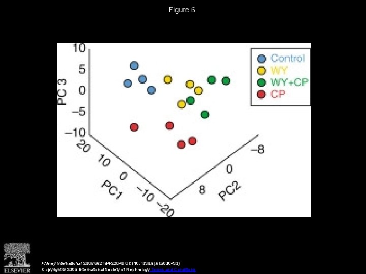 Figure 6 Kidney International 2006 692194 -2204 DOI: (10. 1038/sj. ki. 5000433) Copyright ©