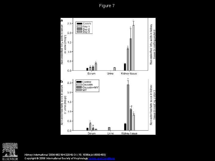 Figure 7 Kidney International 2006 692194 -2204 DOI: (10. 1038/sj. ki. 5000433) Copyright ©