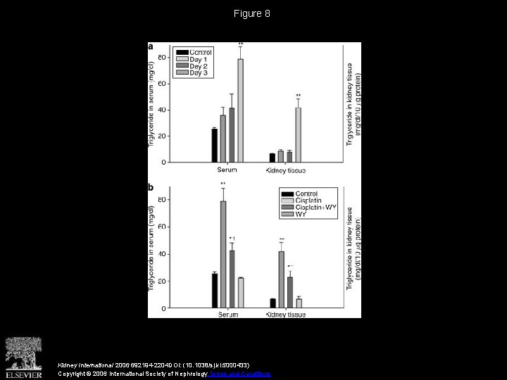 Figure 8 Kidney International 2006 692194 -2204 DOI: (10. 1038/sj. ki. 5000433) Copyright ©