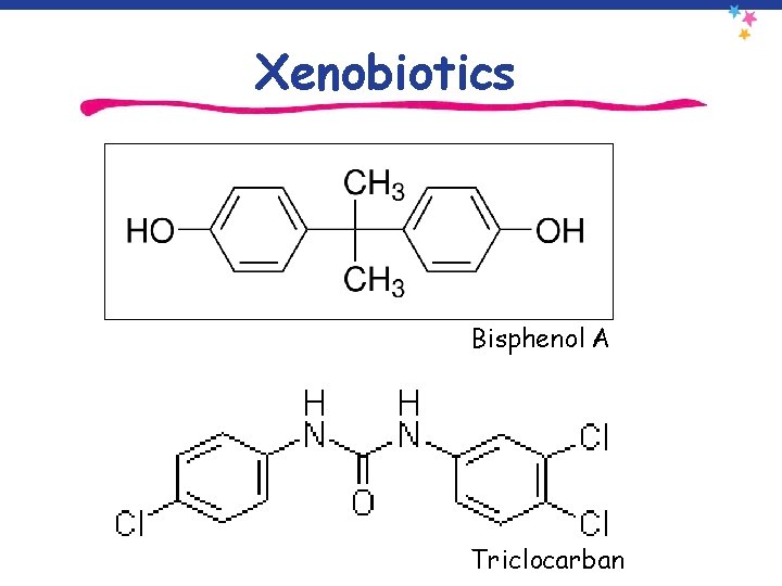 Xenobiotics Bisphenol A Triclocarban 