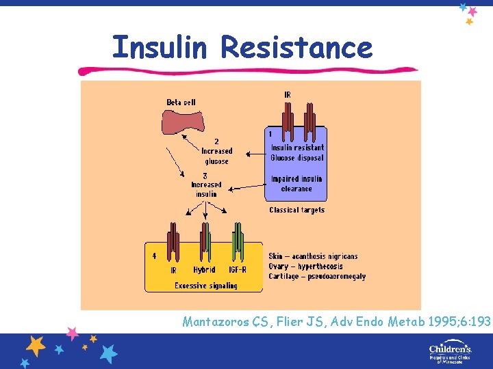 Insulin Resistance Mantazoros CS, Flier JS, Adv Endo Metab 1995; 6: 193 