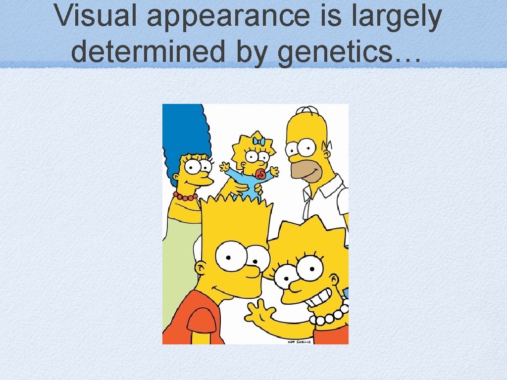 Visual appearance is largely determined by genetics… 